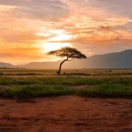 Kenya landmark