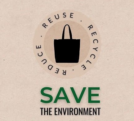 Reusable vs Recyclable Bags